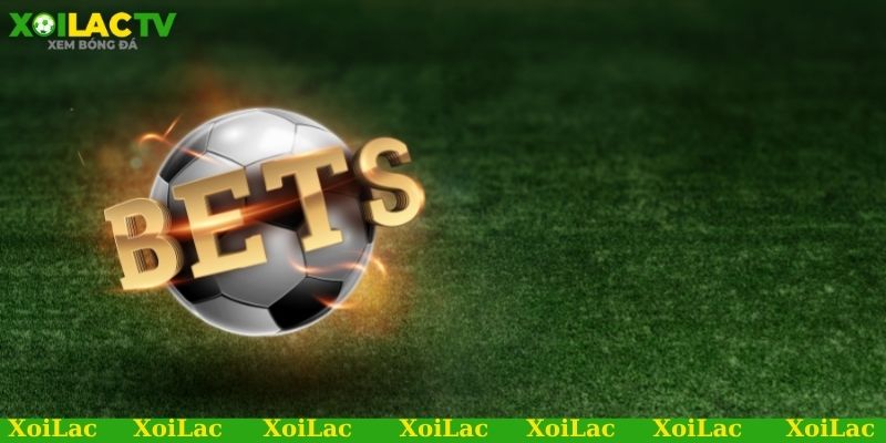 Các tỷ lệ nên biết khi soi kèo tỷ lệ chấp