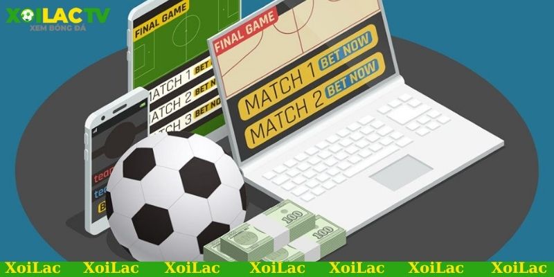 Link xem bóng đá chất lượng cao đỉnh cao mùa giải mới 3 Link xem bóng đá chất lượng cao cập nhật thông tin chính xác