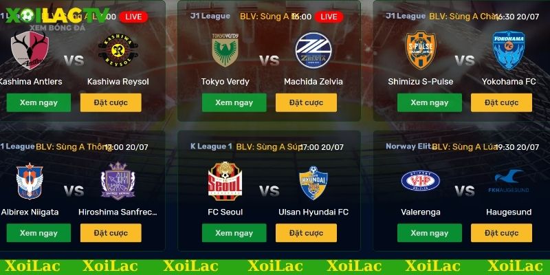 Link xem bóng đá trực tiếp vô vàn các giải đấu