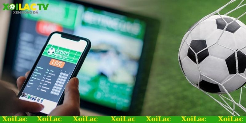 Soi kèo penalty - Dự đoán chính xác, rinh quà khủng 3 Rủi ro cần tránh khi soi kèo bóng đá penalty