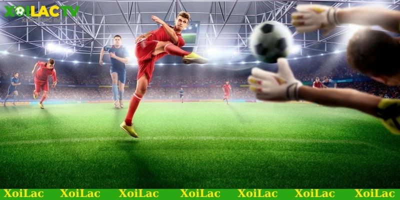 Xoilac TV - Soi kèo thẻ phạt, nắm bắt cơ hội thắng đậm 3 Vì sao nên cập nhật thông trước khi soi kèo thẻ phạt?